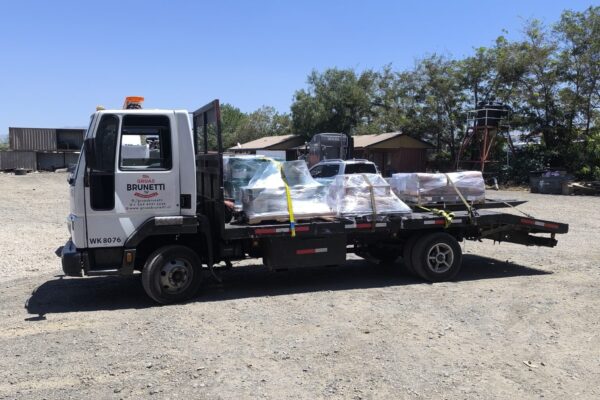 Camión Grúas Brunetti transportando carga para empresa en Región Metropolitana
